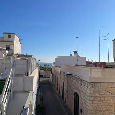 Yali * Bari